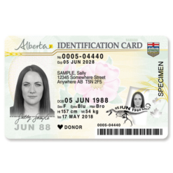 Canadian Drivers License Scans 2023