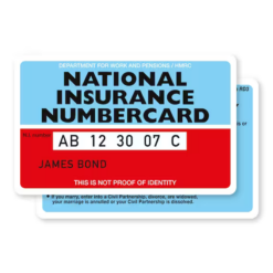 United Kingdom National Insurance Number (fullz)