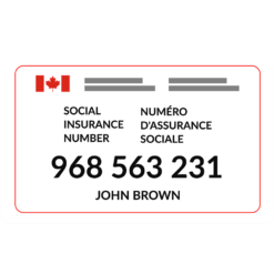 Canadian Social Insurance Number (Fullz)